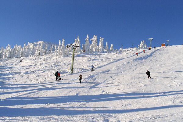 Skifahren im Bayerischen Wald